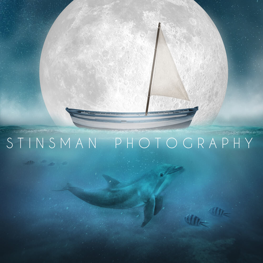 Moon & Boat with Dolphin