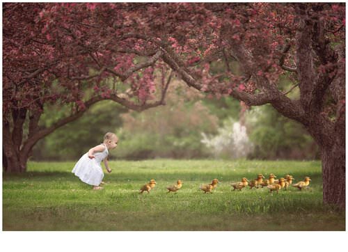 Duckling Backdrop
<p>Easter & Spring digital backdrop</p>