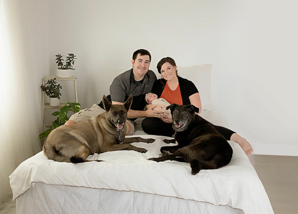 New mother and father holding their newborn girl in bedroom photography sack with their two dogs for newborn photography poses taken in Southampton, New Jersey.