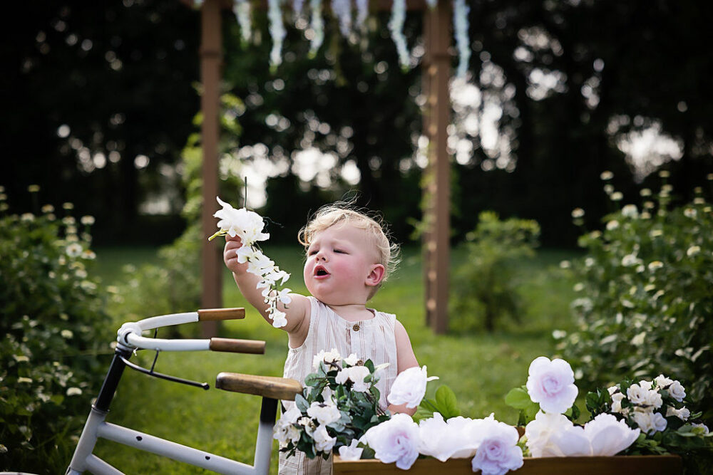 Young boy playing with flowers for their summer flower mini sessions in Mount Holly, New Jersey.