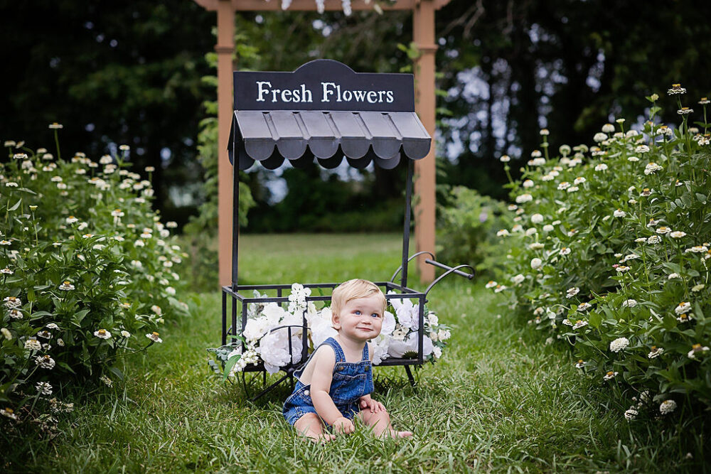 Young boy sitting on grass in front of fresh flower stand in flower field for summer mini sessions taken in Camden, New Jersey.
