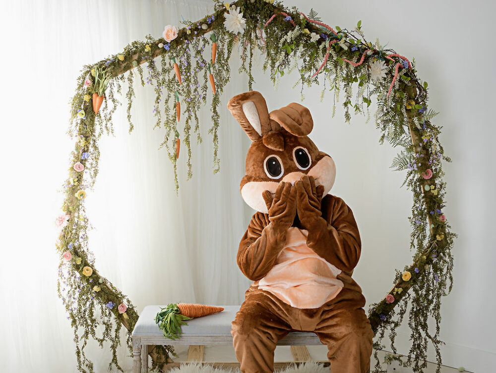 Close up of Easter bunny covering mouth sitting on bench next to carrot with Easter bunny photography prop in background for Easter minis ideas in East Hampton, New Jersey