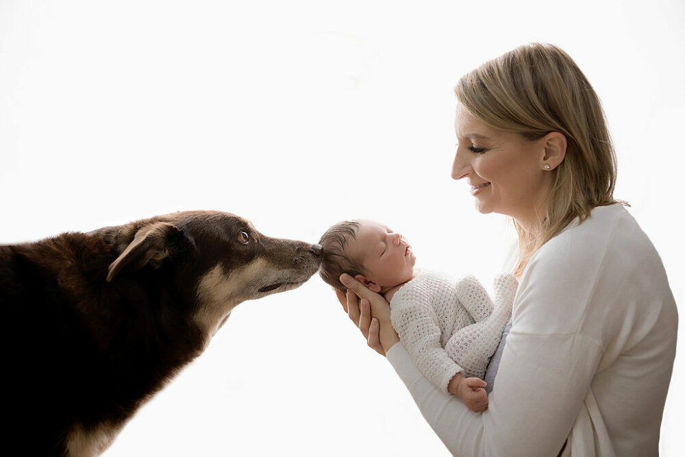 Side profile portrait of new mother, holding infant son in arms, while looking at him and smiling with family, dog on other side, sniffing babies, head for newborn photography near me in Southampton, New Jersey.