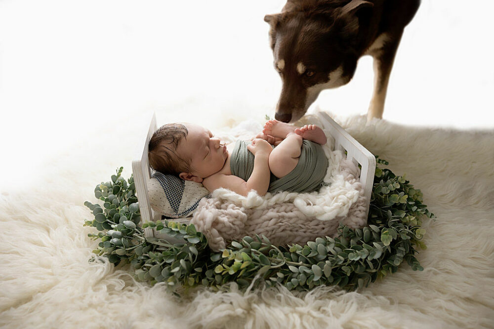 Baby portrait of infant boy, sleeping on white crib, photography prop on textured blanket, with family, dog for their bright in Home newborn session in Mount Laurel, New Jersey.