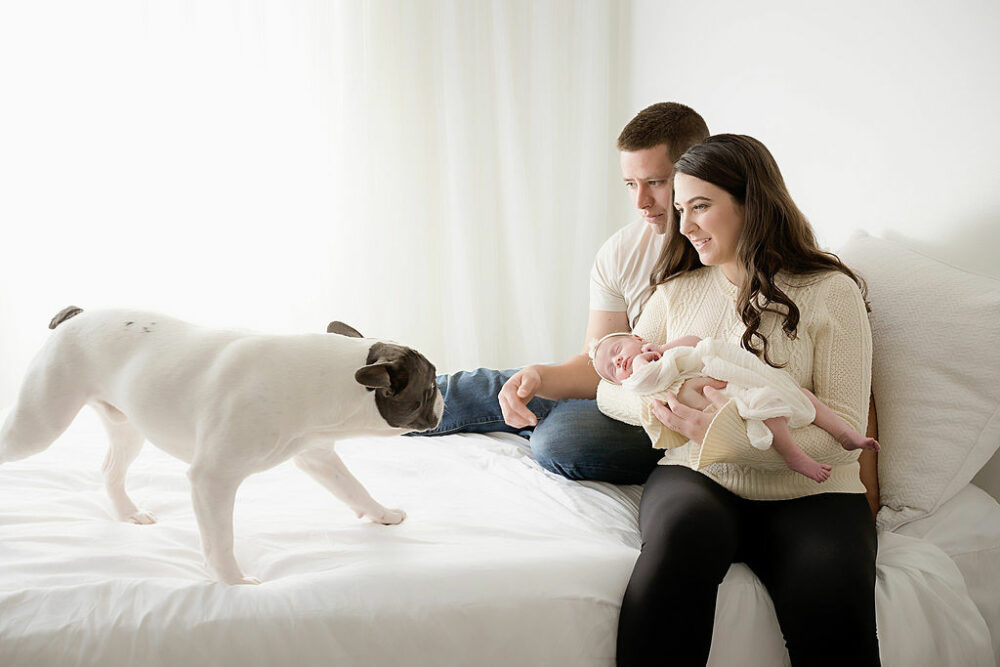 Man and woman sitting on bed, sat holding newborn, daughter, looking at family dog for their in studio newborn session in Southampton, New Jersey.