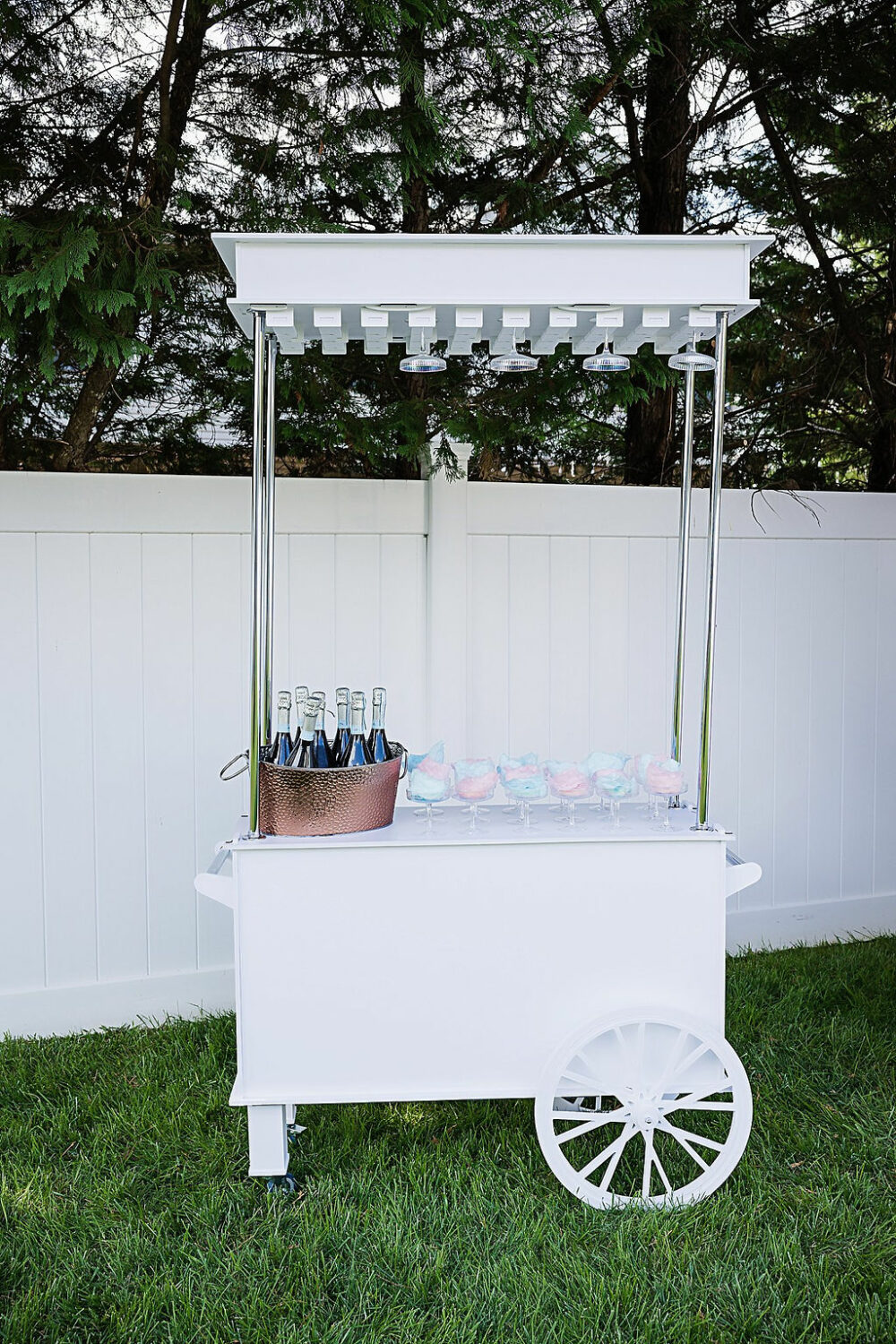 bar cart place in backyard for gender reveal photo shoot in South Jersey.