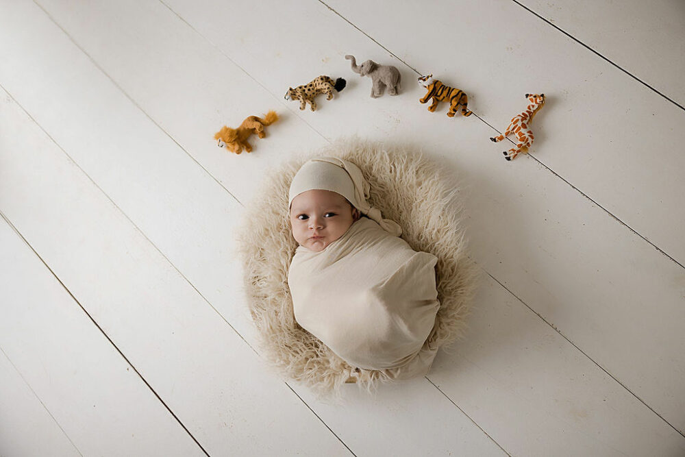 An infant boiling on textured blanket, adorned with animal props, awake for his in-studio newborn session in Cherry Hill, New Jersey.