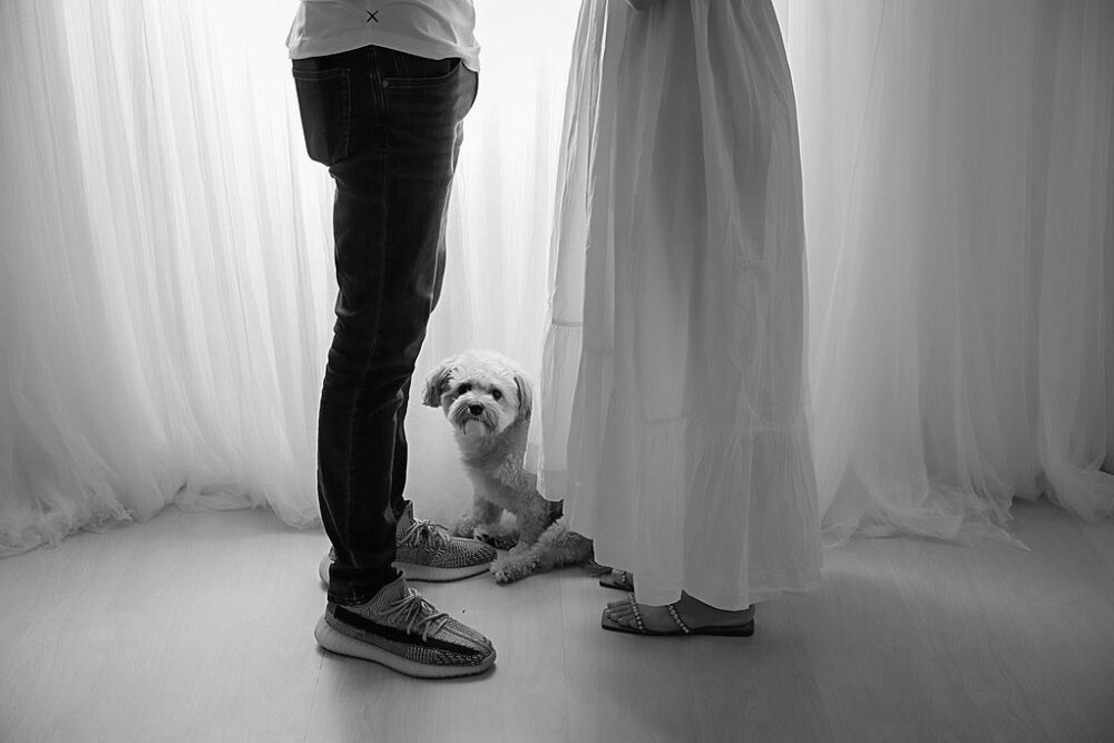 A dog sitting in between his parents taken during their newborn portraits and professional studio in Medford, New Jersey.