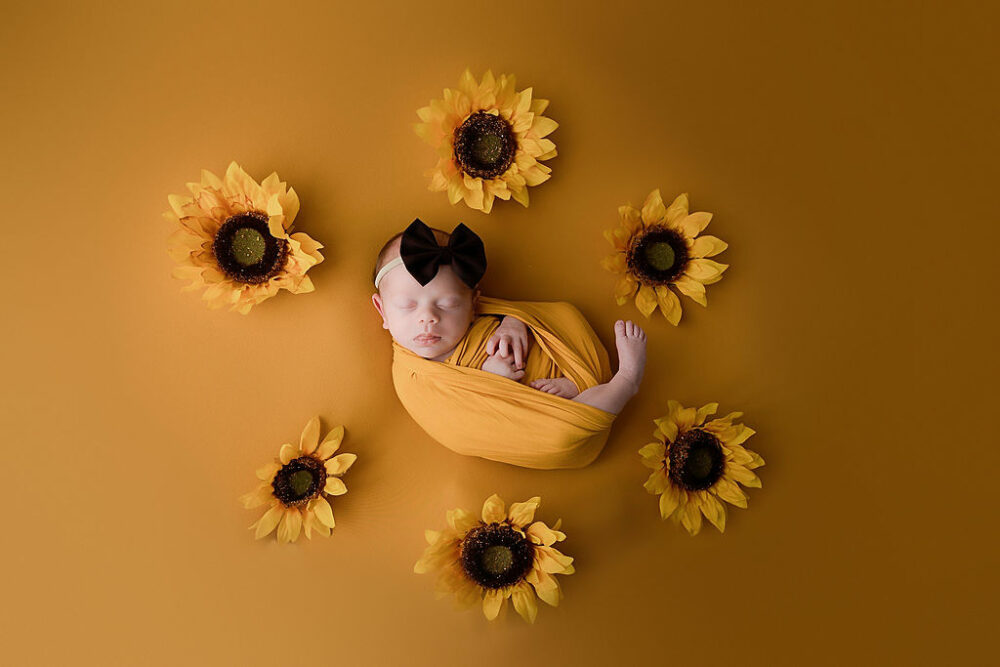 Aerial portrait of a infant girl sleeping on her back in wrapped, adorned with sunflowers for her sunflower newborn session in Cherry Hill, New Jersey.