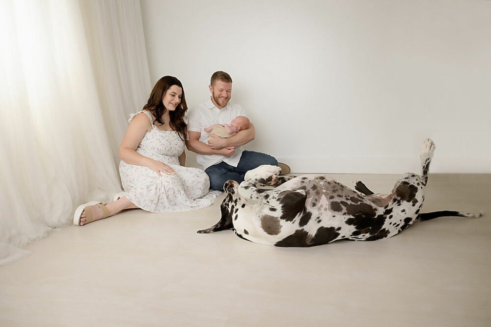 A family portrait of a man and a woman sitting in holding their newborn, while their family dog plays on the floor next to them for their lifestyle, newborn session in Westampton, New Jersey.