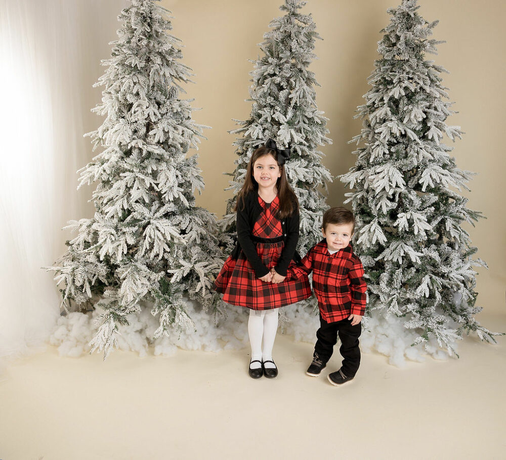 A sibling portrait of a toddler girl holding her little brother's hand in from of tall frosted trees wearing matching outfits for their holiday mini sessions in Cherry Hill, New Jersey.